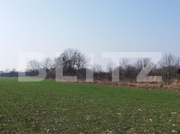 Teren de vânzare Exterior Est - 148353TV | BLITZ Ploieşti | Poza5