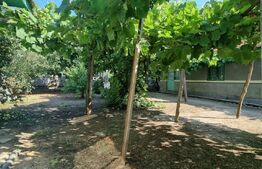 Teren intravilan, 3400 mp, extravilan 2800 mp, comuna Balta Doamnei