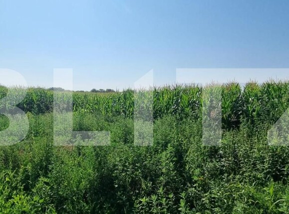 Teren de vânzare Exterior Sud - 148358TV | BLITZ Ploieşti | Poza6