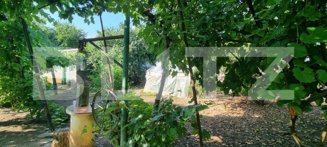 Teren de vânzare Exterior Sud - 148358TV | BLITZ Ploieşti | Poza7