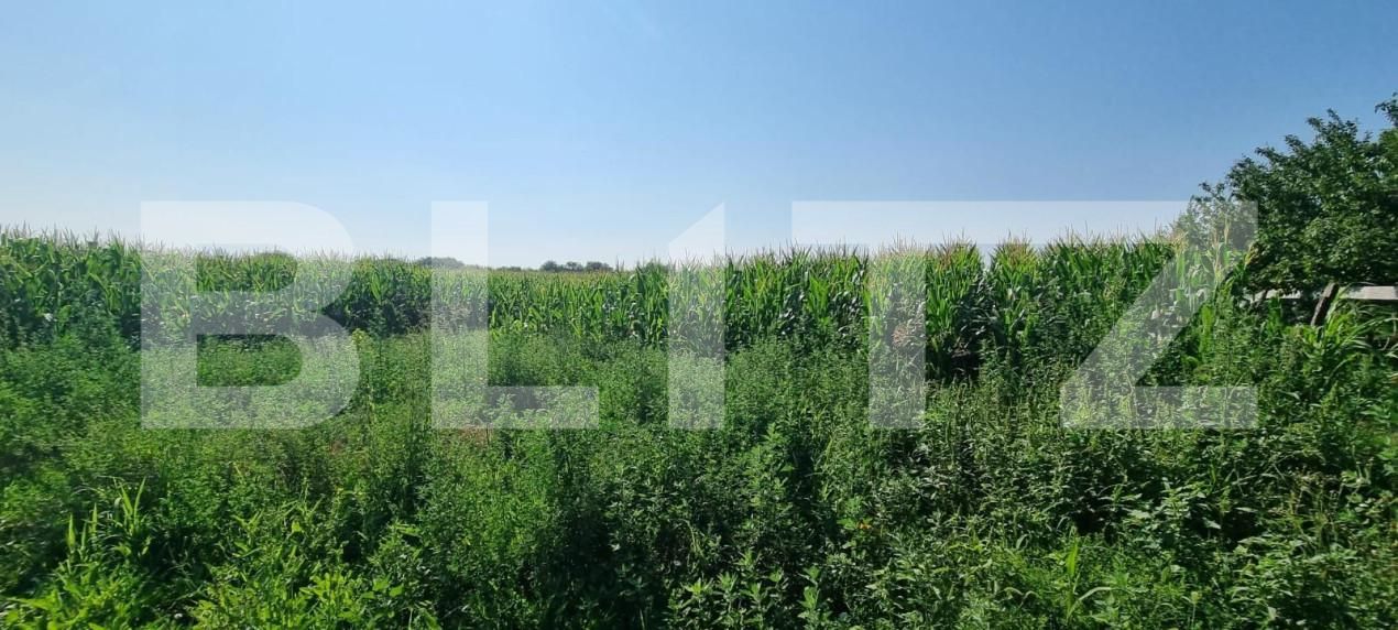 Teren de vânzare Exterior Sud - 148358TV | BLITZ Ploieşti | Poza6