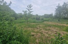  Teren intravilan, 4230 mp, Baicoi