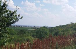 Teren de vânzare Exterior Nord - 156478TV | BLITZ Ploieşti | Poza3