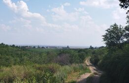 Teren, 3600mp, Drumul Vinului