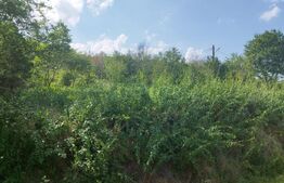 Teren, 3600mp, Drumul Vinului