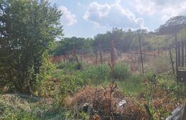 Teren, 3600mp, Drumul Vinului