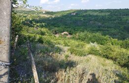 Teren, 3600mp, Drumul Vinului