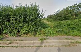 Teren intravilan, 5000mp, Mihai Bravu