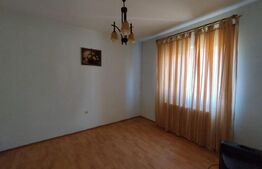 Casa individuala 4 camere plus casa de oaspeti, Drajna