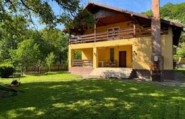 Casa individuala 4 camere plus casa de oaspeti, Drajna