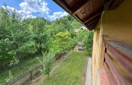 Casa individuala 4 camere plus casa de oaspeti, Drajna