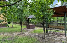 Casa individuala 4 camere plus casa de oaspeti, Drajna