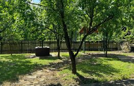 Casa individuala 4 camere plus casa de oaspeti, Drajna