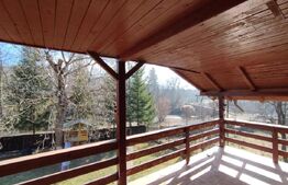 Casa individuala 4 camere plus casa de oaspeti, Drajna