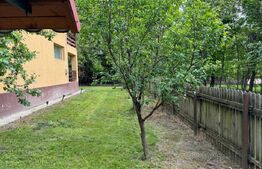 Casa individuala 4 camere plus casa de oaspeti, Drajna