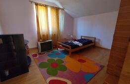 Casa individuala 4 camere plus casa de oaspeti, Drajna