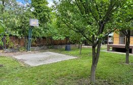 Casa individuala 4 camere plus casa de oaspeti, Drajna