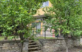 Casa individuala 4 camere plus casa de oaspeti, Drajna