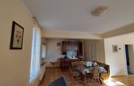 Casa individuala 4 camere plus casa de oaspeti, Drajna