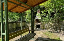 Casa individuala 4 camere plus casa de oaspeti, Drajna