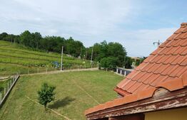 Casa individuala 7 camere, 600mp, teren 3000mp