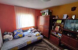 Casa individuala 5 camere, 198 mp, 250 mp teren, langa Parc