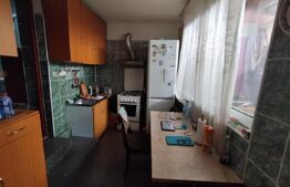 Casa individuala 5 camere, 198 mp, 250 mp teren, langa Parc