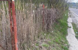 Teren 701 mp, front 30ml la DN1, Nistoresti, jud. Prahova