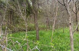 Teren 784 mp, Nistoresti, jud Prahova