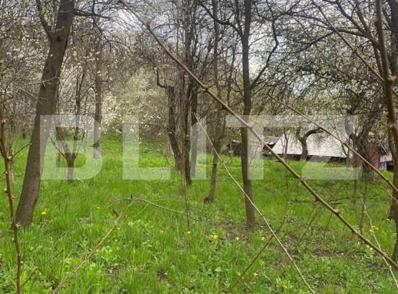 Teren de vânzare Nistoresti - 148726TV | BLITZ Ploieşti | Poza1
