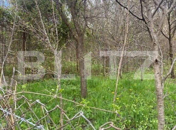 Teren de vânzare Nistoresti - 148726TV | BLITZ Ploieşti | Poza3