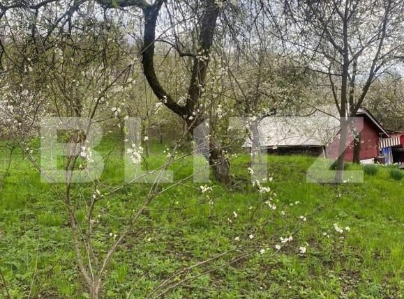 Teren de vânzare Nistoresti - 148726TV | BLITZ Ploieşti | Poza2