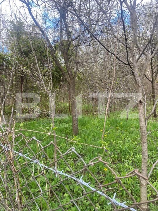 Teren de vânzare Nistoresti - 148726TV | BLITZ Ploieşti | Poza3