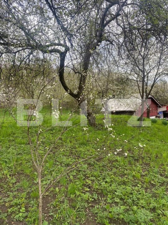 Teren de vânzare Nistoresti - 148726TV | BLITZ Ploieşti | Poza2