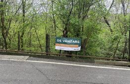 Teren de vânzare Valea Doftanei - 190415TV | BLITZ Ploieşti | Poza3