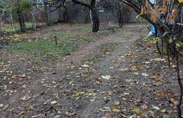 Casa cu 4 camere, 161 mp utili, teren cu 512 mp, Ultracentral