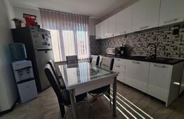 Apartament 2 camere,  zona Ultracentrala , 55 mp