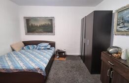 Casa individuala P+M, 3 camere, 190 mp, teren 800 mp, Strejnicu