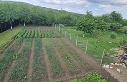 Casa individuala, 4 camere, 200 mp si teren 1800 mp, Magurele