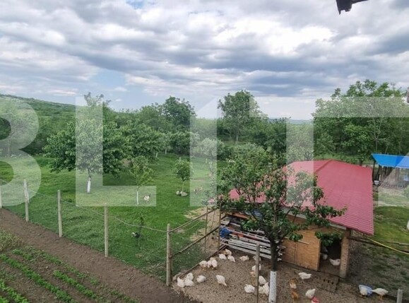 Casa de vânzare 4 camere Magurele - 152039CV | BLITZ Ploieşti | Poza14