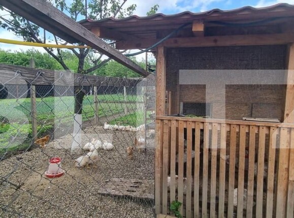 Casa de vânzare 4 camere Magurele - 152039CV | BLITZ Ploieşti | Poza13