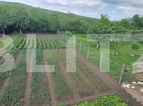 Casa de vânzare 4 camere Magurele - 152039CV | BLITZ Ploieşti | Poza15