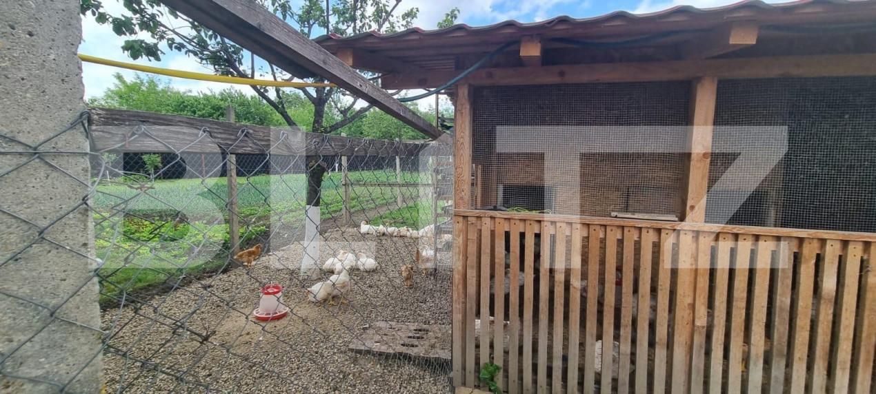 Casa de vânzare 4 camere Magurele - 152039CV | BLITZ Ploieşti | Poza5