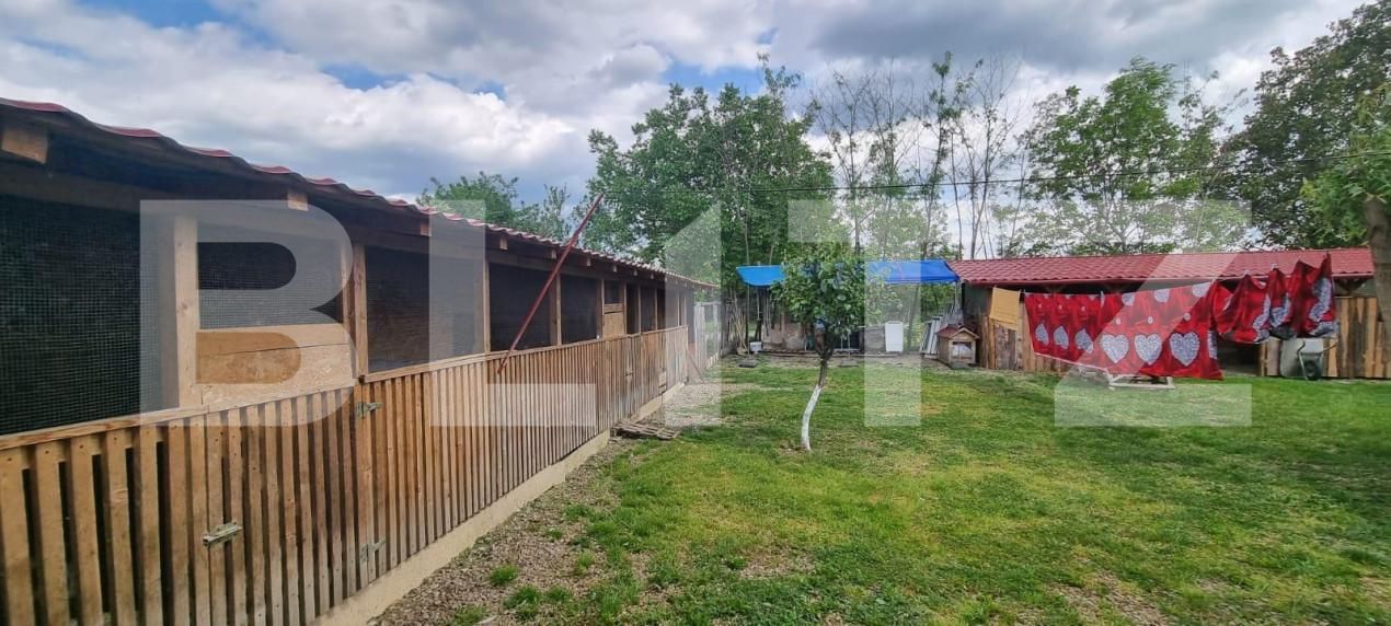 Casa de vânzare 4 camere Magurele - 152039CV | BLITZ Ploieşti | Poza16