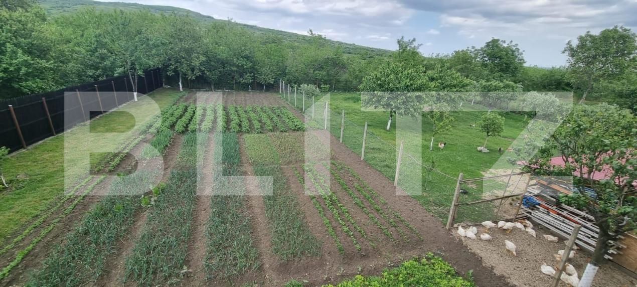 Casa de vânzare 4 camere Magurele - 152039CV | BLITZ Ploieşti | Poza15