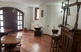 Pensiune 6 camere duble + 1 apartament + garsoniera Sinaia