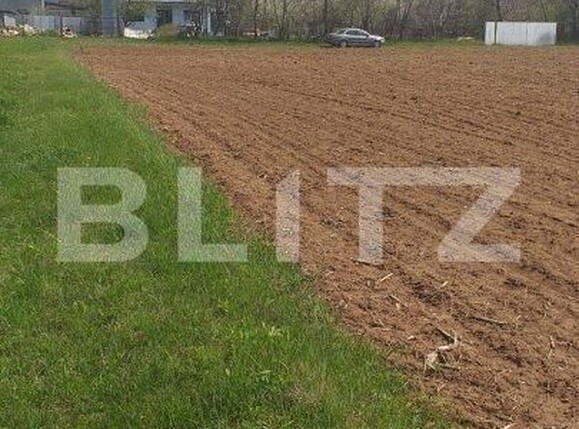 Teren de vânzare Baicoi - 152177TV | BLITZ Ploieşti | Poza1