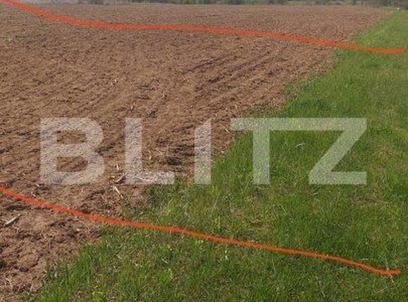 Teren de vânzare Baicoi - 152177TV | BLITZ Ploieşti | Poza4