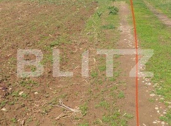 Teren de vânzare Baicoi - 152177TV | BLITZ Ploieşti | Poza5