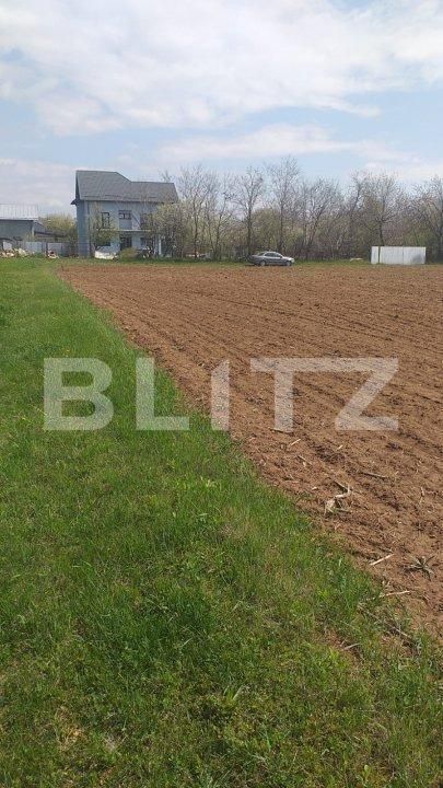 Teren de vânzare Baicoi - 152177TV | BLITZ Ploieşti | Poza3